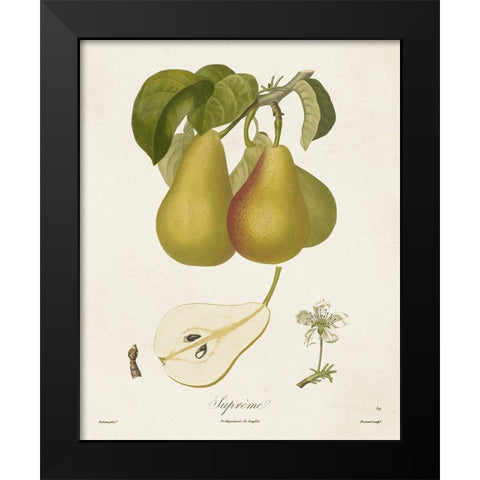 Vintage Pears V Black Modern Wood Framed Art Print by de Langlois