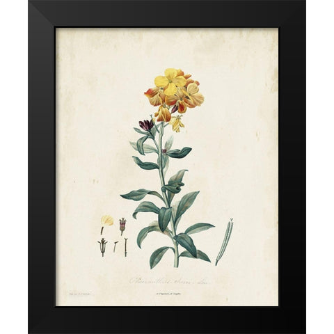 Traditional Botanical III Black Modern Wood Framed Art Print by de Langlois