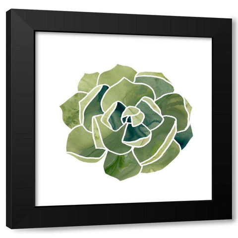Succulent Cameo III Black Modern Wood Framed Art Print by Vess, June Erica