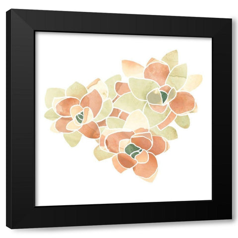 Succulent Cameo VII Black Modern Wood Framed Art Print with Double Matting by Vess, June Erica