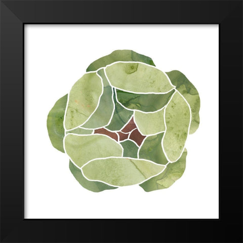 Succulent Cameo VIII Black Modern Wood Framed Art Print by Vess, June Erica
