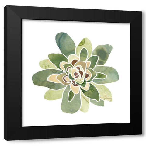 Succulent Cameo XI Black Modern Wood Framed Art Print with Double Matting by Vess, June Erica