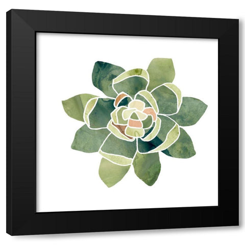 Succulent Cameo XIV Black Modern Wood Framed Art Print by Vess, June Erica