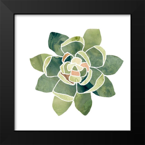 Succulent Cameo XIV Black Modern Wood Framed Art Print by Vess, June Erica