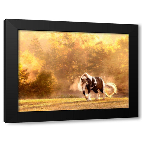 Horse Motion III Black Modern Wood Framed Art Print by PHBurchett