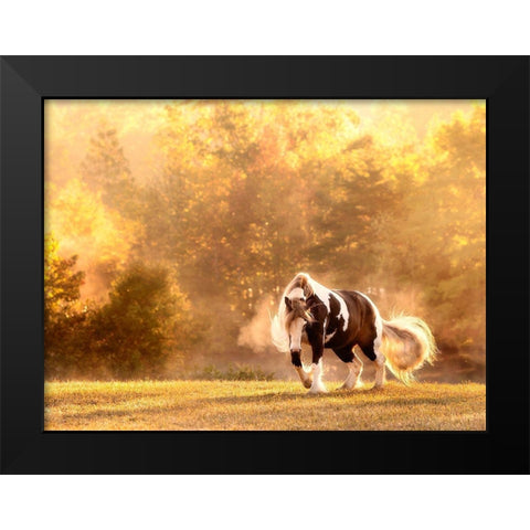 Horse Motion III Black Modern Wood Framed Art Print by PHBurchett