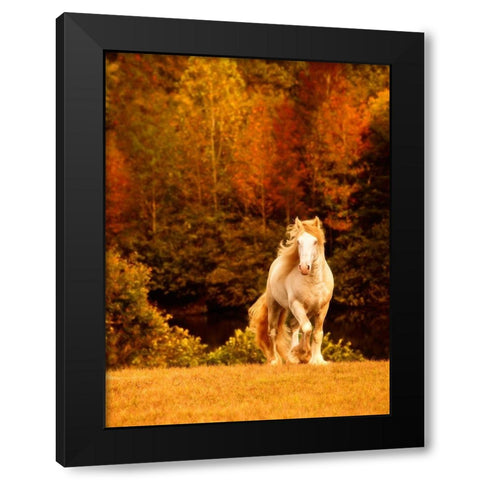 Horse Motion IX Black Modern Wood Framed Art Print by PHBurchett
