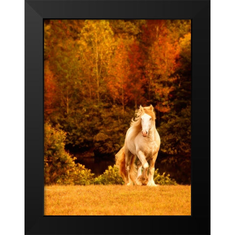 Horse Motion IX Black Modern Wood Framed Art Print by PHBurchett