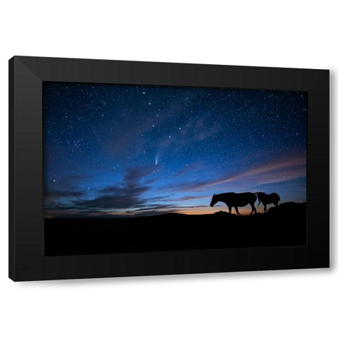 View At Rest II Black Modern Wood Framed Art Print with Double Matting by PHBurchett