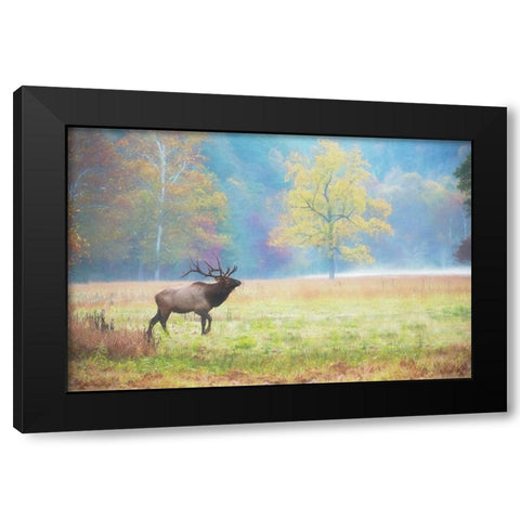 View At Rest IV Black Modern Wood Framed Art Print by PHBurchett