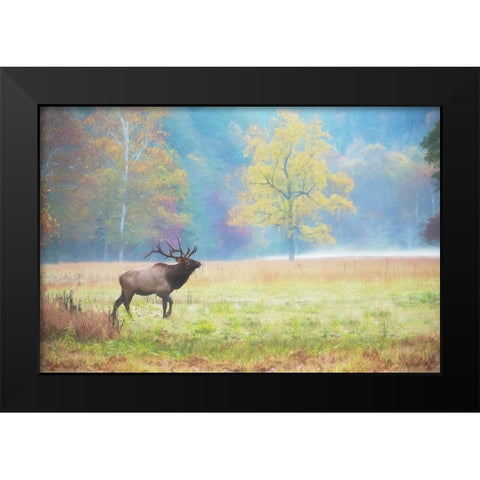 View At Rest IV Black Modern Wood Framed Art Print by PHBurchett