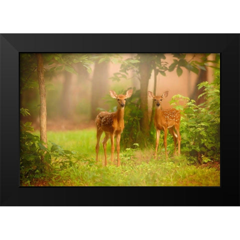 View At Rest V Black Modern Wood Framed Art Print by PHBurchett