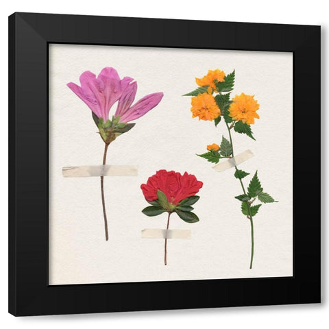 Backyard Variety I Black Modern Wood Framed Art Print by Warren, Annie