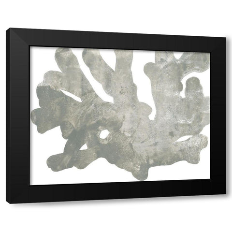 Stone Macro Coral IV Black Modern Wood Framed Art Print by Vess, June Erica