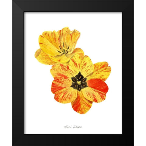 Olives Tulips I Black Modern Wood Framed Art Print by Popp, Grace