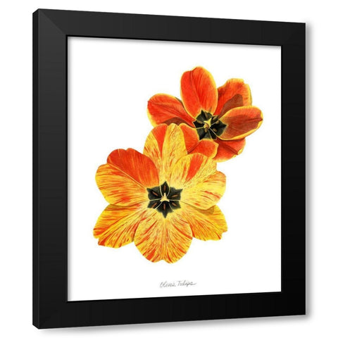 Olives Tulips II Black Modern Wood Framed Art Print with Double Matting by Popp, Grace