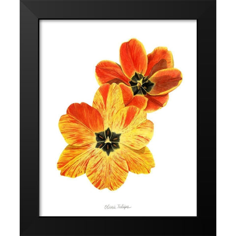 Olives Tulips II Black Modern Wood Framed Art Print by Popp, Grace