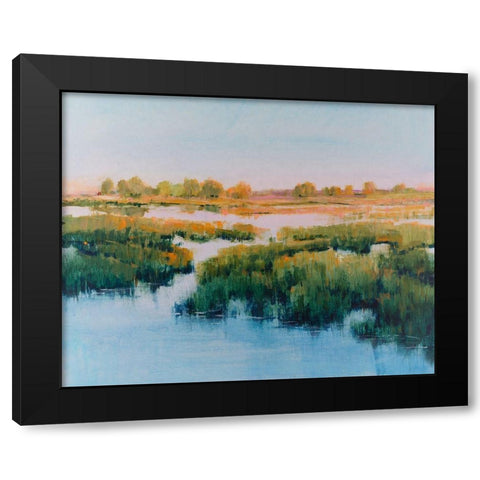 Marshland View II Black Modern Wood Framed Art Print by OToole, Tim