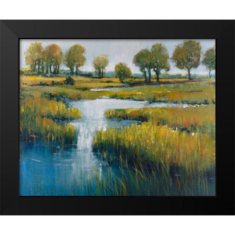 Marshland View III Black Modern Wood Framed Art Print by OToole, Tim