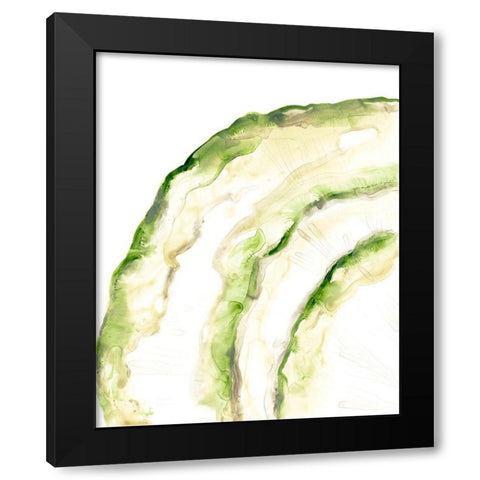 Lichen Halo I Black Modern Wood Framed Art Print with Double Matting by Vess, June Erica