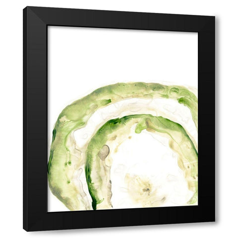 Lichen Halo IV Black Modern Wood Framed Art Print by Vess, June Erica