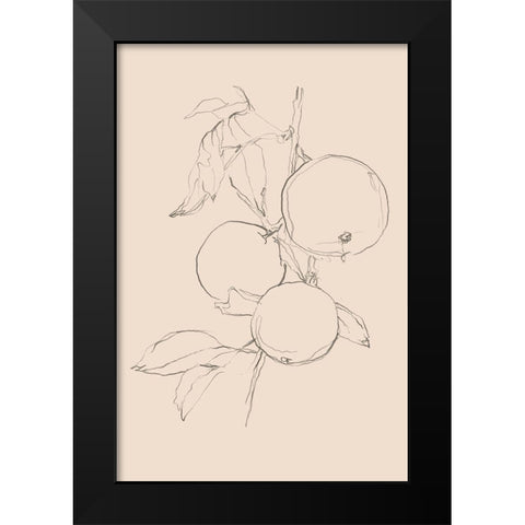 Fruit Contour Study I Black Modern Wood Framed Art Print by Harper, Ethan