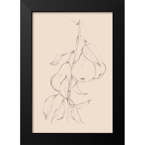 Fruit Contour Study II Black Modern Wood Framed Art Print by Harper, Ethan