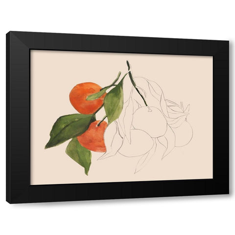 Tangerine Sketch II Black Modern Wood Framed Art Print with Double Matting by Warren, Annie