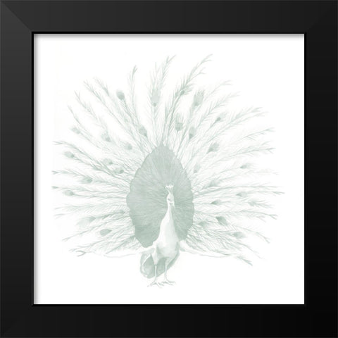 Sage Peacock I Black Modern Wood Framed Art Print by Popp, Grace