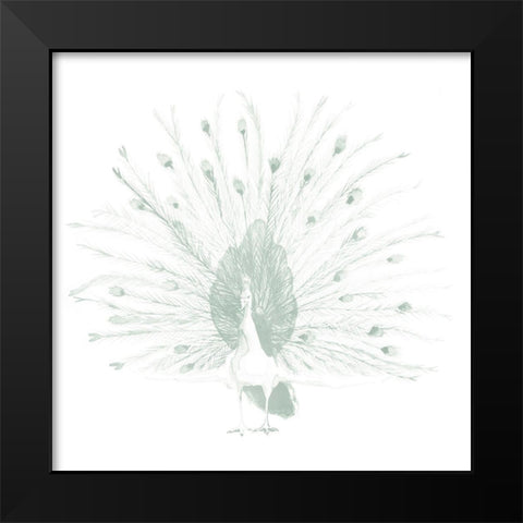 Sage Peacock II Black Modern Wood Framed Art Print by Popp, Grace