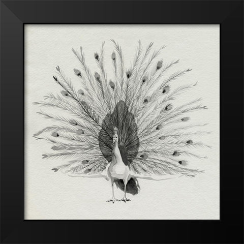 Ebony Plumed Peacock II Black Modern Wood Framed Art Print by Popp, Grace