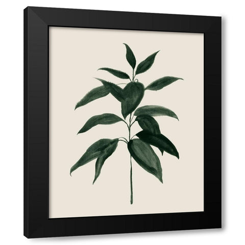 Soft Greenery I Black Modern Wood Framed Art Print with Double Matting by Popp, Grace