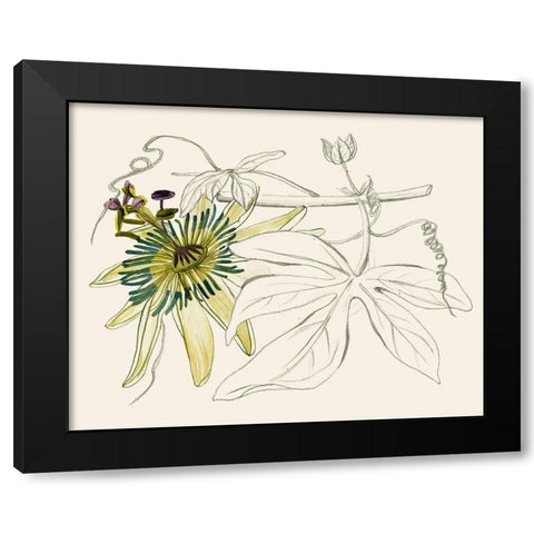 Passionflower I Black Modern Wood Framed Art Print with Double Matting by Wang, Melissa