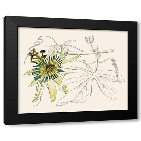 Passionflower I Black Modern Wood Framed Art Print by Wang, Melissa
