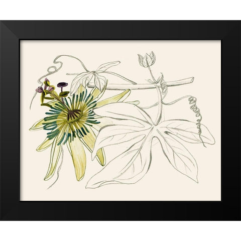 Passionflower I Black Modern Wood Framed Art Print by Wang, Melissa