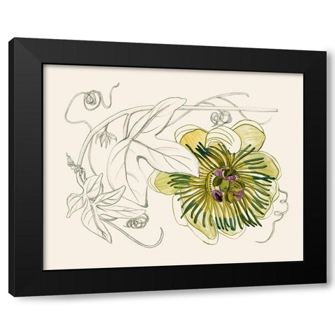 Passionflower II Black Modern Wood Framed Art Print with Double Matting by Wang, Melissa