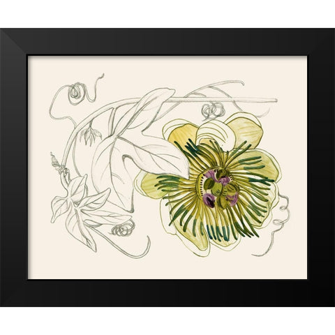 Passionflower II Black Modern Wood Framed Art Print by Wang, Melissa