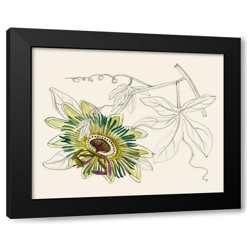 Passionflower III Black Modern Wood Framed Art Print with Double Matting by Wang, Melissa