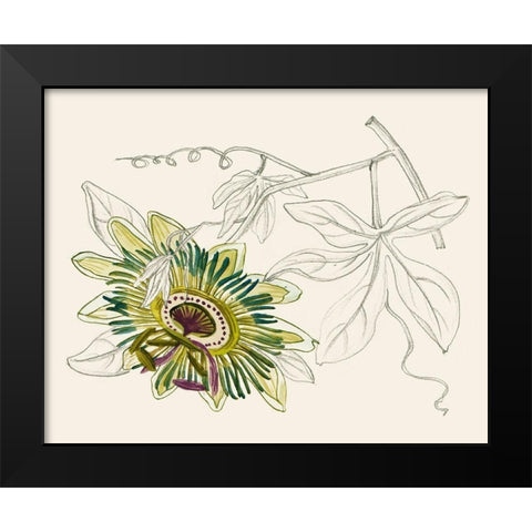 Passionflower III Black Modern Wood Framed Art Print by Wang, Melissa