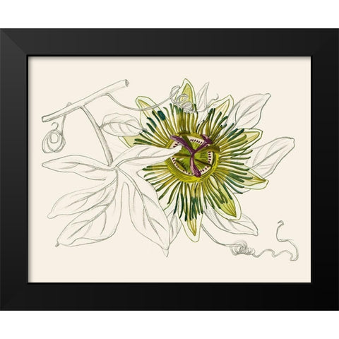 Passionflower IV Black Modern Wood Framed Art Print by Wang, Melissa