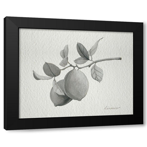 Limonero I Black Modern Wood Framed Art Print with Double Matting by Popp, Grace