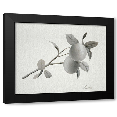 Limonero II Black Modern Wood Framed Art Print with Double Matting by Popp, Grace