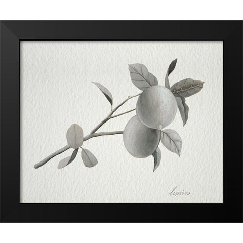 Limonero II Black Modern Wood Framed Art Print by Popp, Grace
