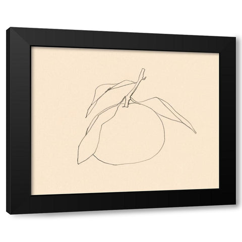 Citrus Contour I Black Modern Wood Framed Art Print with Double Matting by Barnes, Victoria