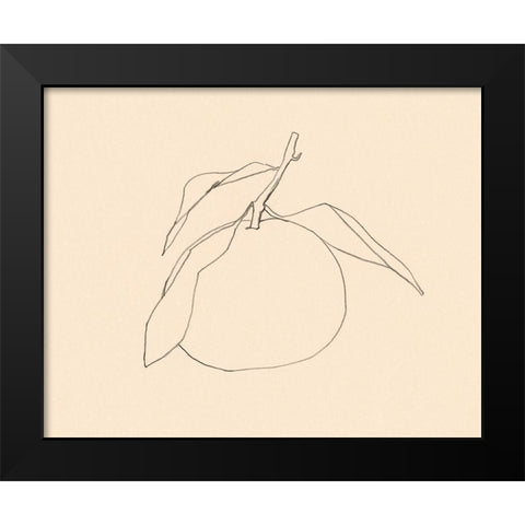 Citrus Contour I Black Modern Wood Framed Art Print by Barnes, Victoria