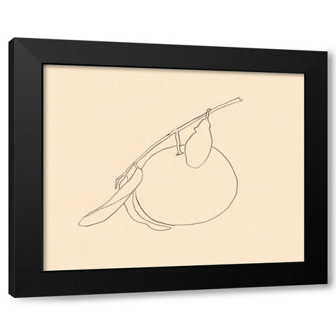 Citrus Contour II Black Modern Wood Framed Art Print with Double Matting by Barnes, Victoria