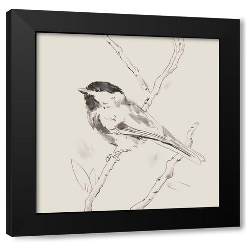 Black Capped Chickadee II Black Modern Wood Framed Art Print with Double Matting by Green, Jacob