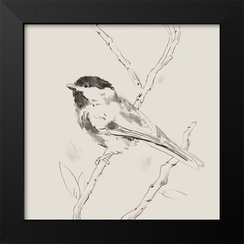 Black Capped Chickadee II Black Modern Wood Framed Art Print by Green, Jacob