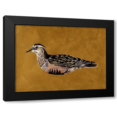 Feathered Friend I Black Modern Wood Framed Art Print by Wang, Melissa