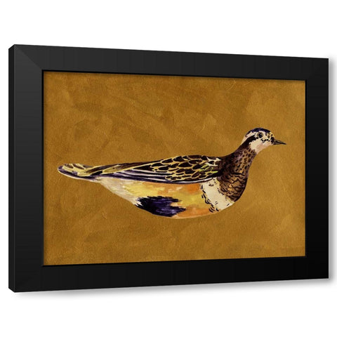 Feathered Friend II Black Modern Wood Framed Art Print with Double Matting by Wang, Melissa